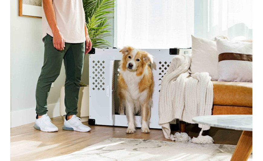 Tena Hasta Bezi İncelemesi